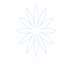 博鱼·(boyu)体育官方网站-BOYU SPORTS